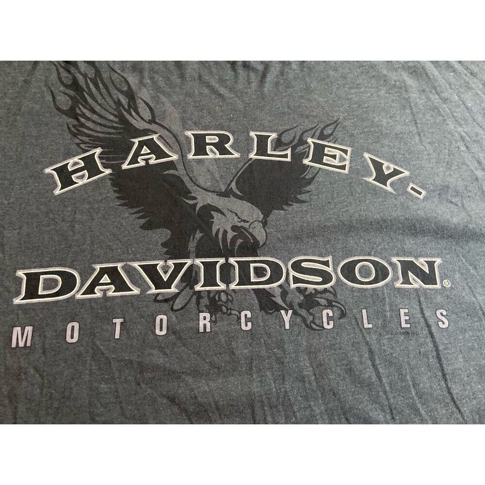 Harley Davidson Motorcycle Tee-Shirt SZ 3XL Brunswick‎ Troy, NY Ride Streetwear